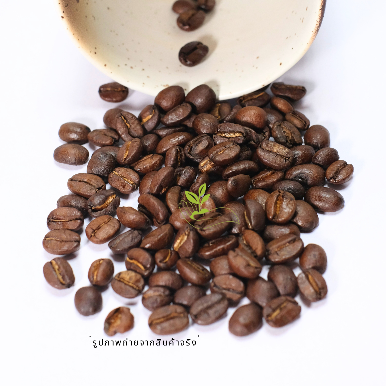 เมล็ดกาแฟปางขอน ChiangRai Pangkhon (100g) *ส่งฟรี*