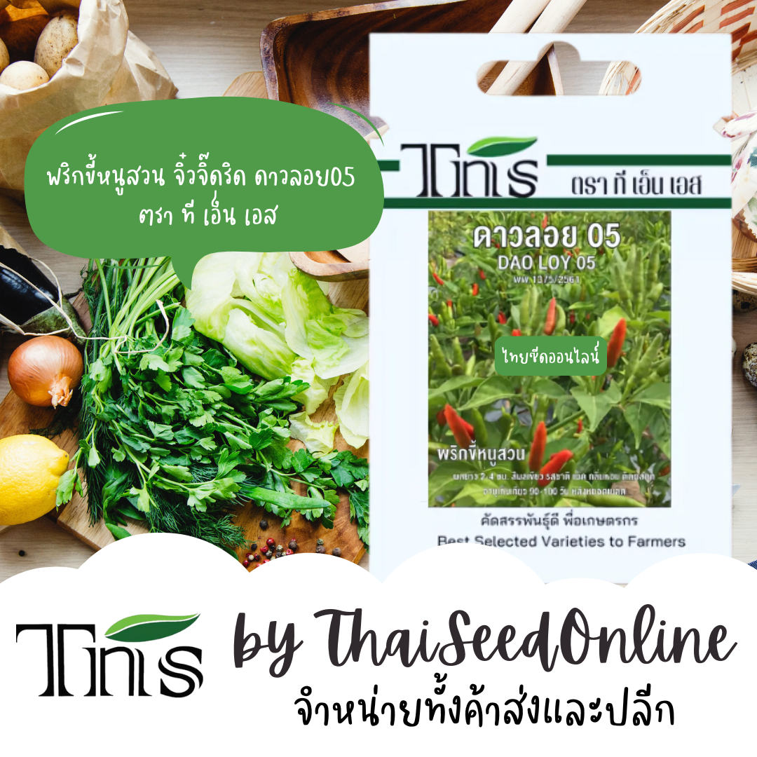 TNS(ทีเอ็นเอส) TNS เมล็ดพันธุ์แบบซองเล็ก พริกขี้หนูสวน ดาวลอย05 ตรา ที เอ็น TNS Bird Chilli Pepper