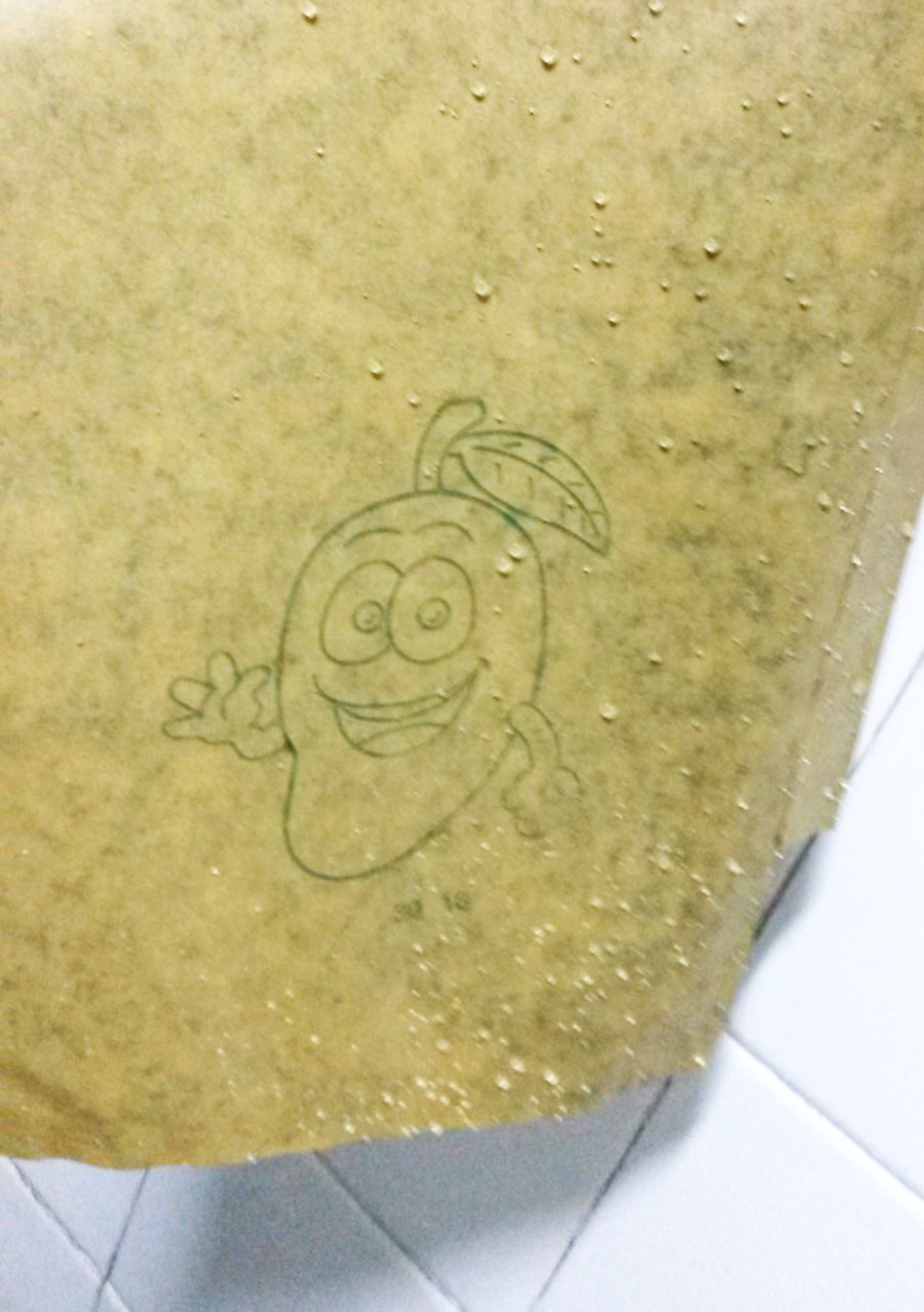 ถุงกระดาษห่อมะม่วง ถุงห่อมะม่วง ถุงกระดาษห่อผลไม้ ถุงคาร์บอน ถุงกระดาษเคลือบกันน้ำสองชั้น