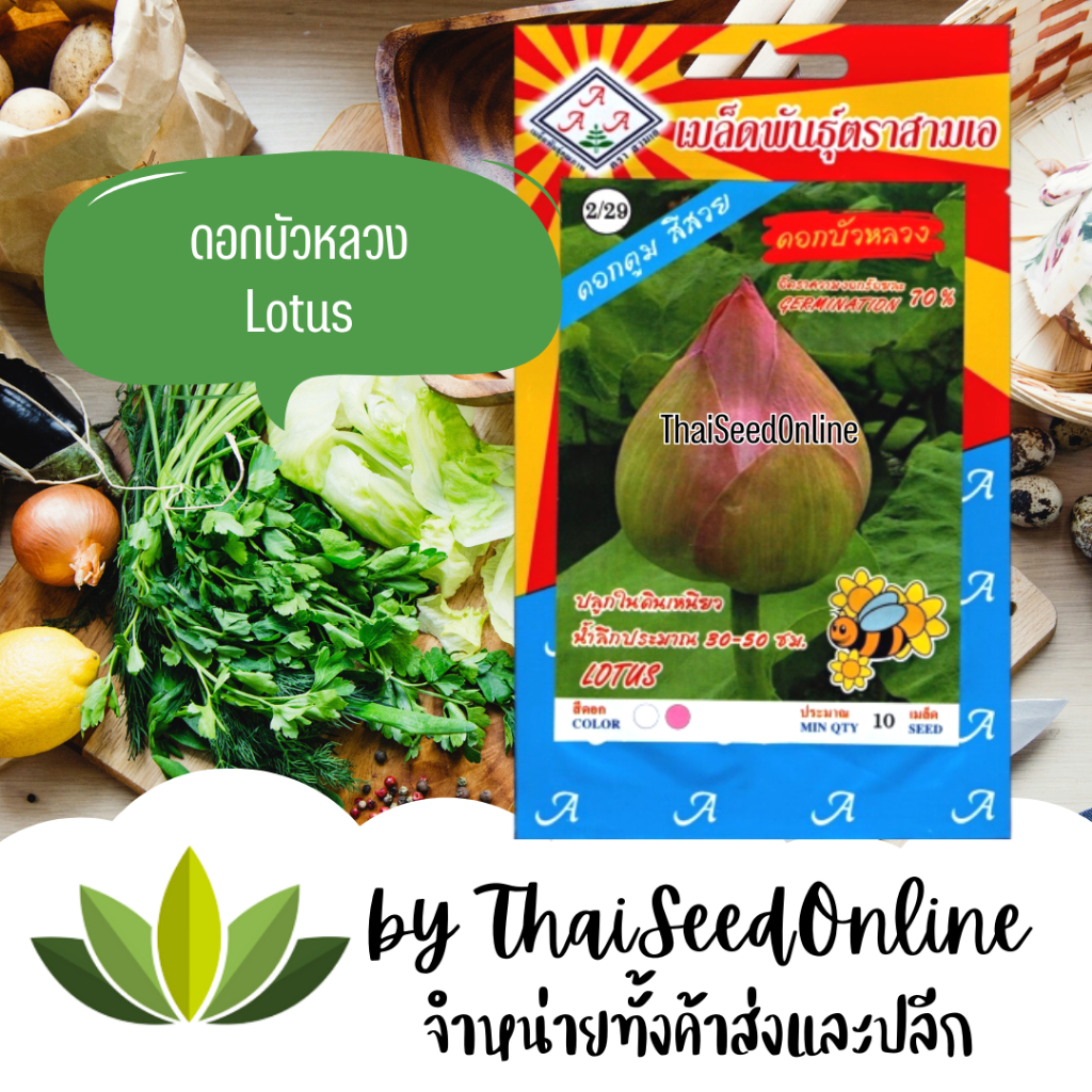 3A(สามเอ) 3A เมล็ดพันธุ์ ดอกบัวหลวง ตราสามเอ Lotus