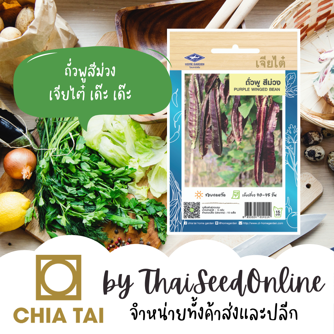 CTOP เมล็ดพันธุ์ ถั่วพูสีม่วง 15 เมล็ด ตราเจียไต๋ Wing Bean ถั่วพูม่วง