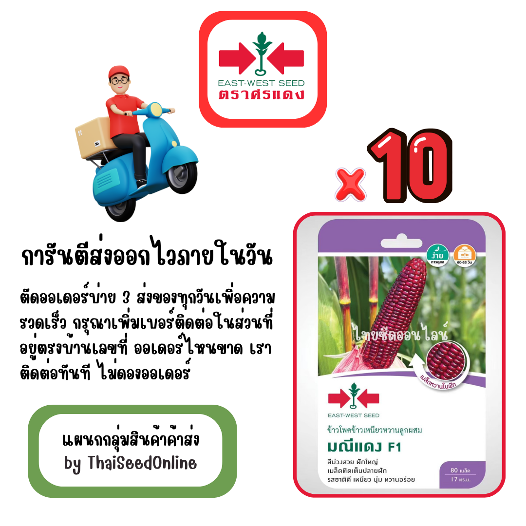 GGx10 เมล็ดผักซองศรแดง มณีแดง ข้าวโพด สินค้ายกแพ็ค