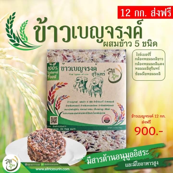 ข้าวเบญจรงค์ ผสม5 ชนิด 12กก ส่งฟรี