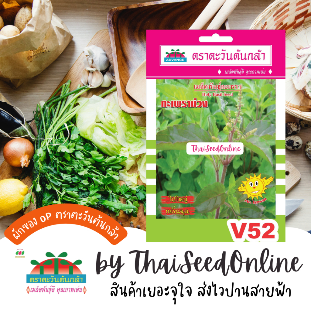 Advance Seeds(ตราตะวันต้นกล้า) ADVOP ซฟ เมล็ดพันธุ์ กะเพราม่วง กะเพราแดง ตราตะวันต้นกล้า V52