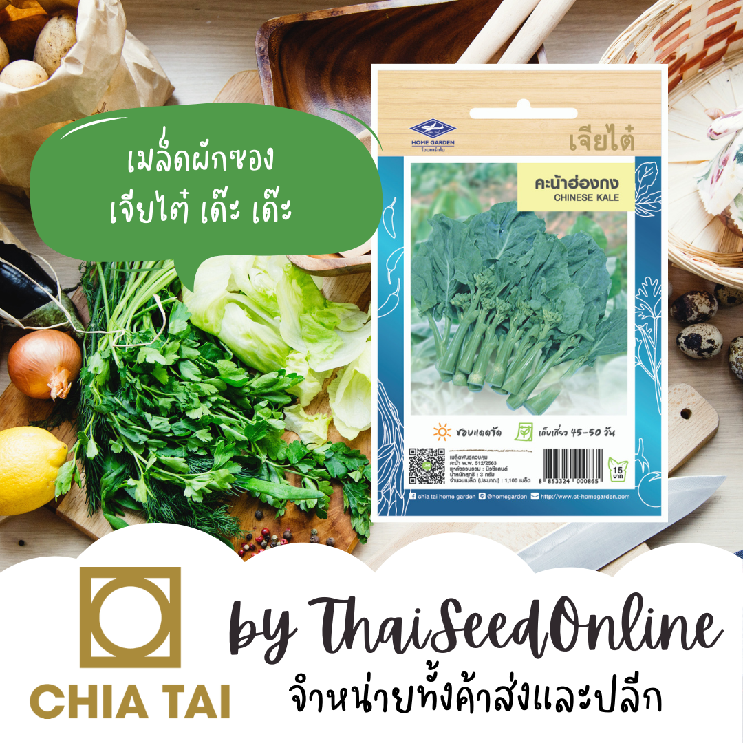 CTOP เมล็ดพันธุ์ คะน้าฮ่องกง 1100 เมล็ด ตราเจียไต๋ Chinese Kale (Chinese Broccoli)