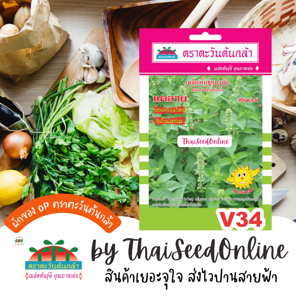 Advance Seeds(ตราตะวันต้นกล้า) ADVOP ซฟ เมล็ดพันธุ์ แมงลักแคลาย อีตู่ ประมาณ 3800 เมล็ด ตราตะวันต้นกล้า V34