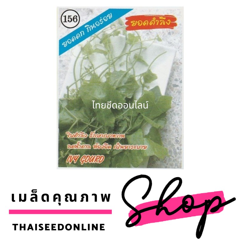3A(สามเอ) 3A เมล็ดพันธุ์ ตำลึง ตราสามเอ Ivy Gourd
