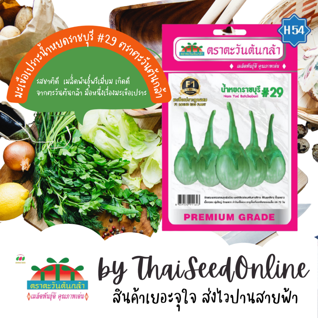 Advance Seeds(ตราตะวันต้นกล้า) ADVF1 ซฟ เมล็ดพันธุ์ มะเขือเปราะ น้ำหยดราชบุรี #29 ตราตะวันต้นกล้า H54