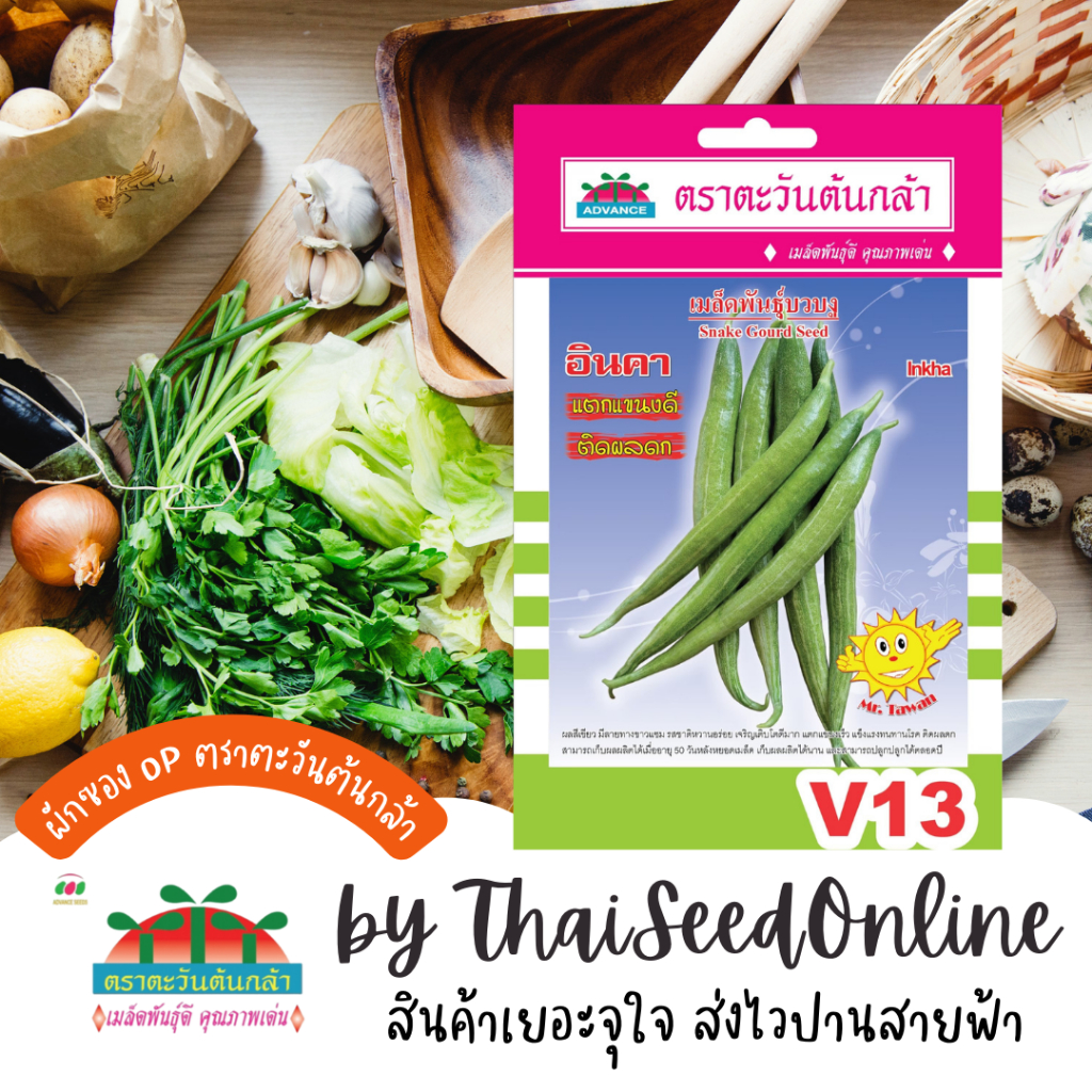 Advance Seeds(ตราตะวันต้นกล้า) ADVOP ซฟ เมล็ดพันธุ์ บวบงู อินคา ประมาณ 8 เมล็ด ตราตะวันต้นกล้า V13
