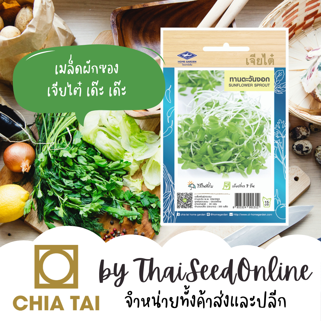 CTOP เมล็ดพันธุ์ ต้นอ่อน ทานตะวันงอก เมล็ดลาย ตราเจียไต๋ Sunflower Sprout