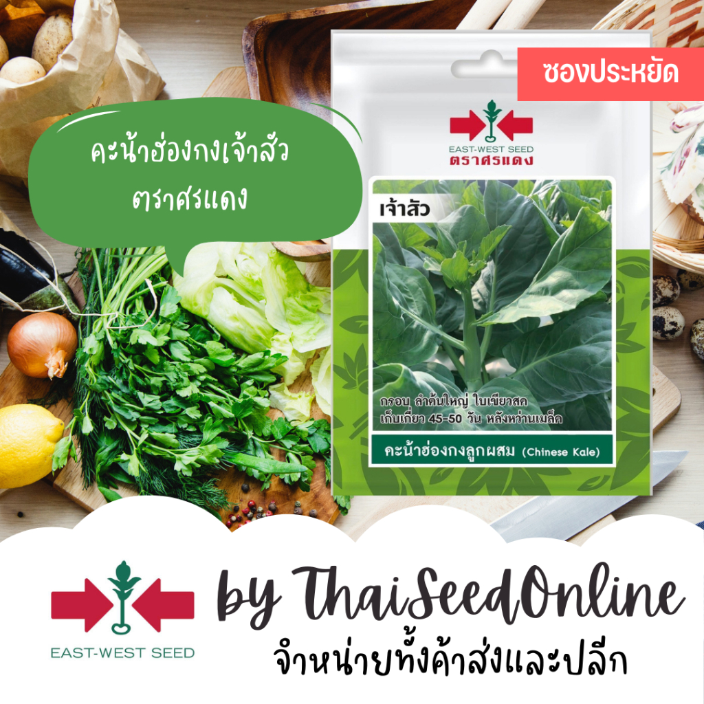 Sorndang(ศรแดง) VP3 ซฟ เมล็ดพันธุ์ คะน้าฮ่องกง เจ้าสัว 100เมล็ด ตราศรแดง Chinese Kale