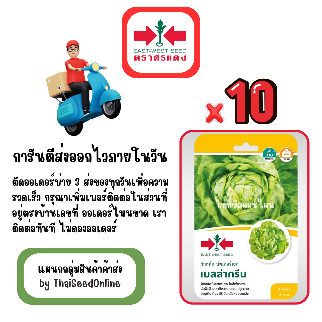 GGx10 เมล็ดผักซองศรแดง เบลล่ากรีน บัตเตอร์เฮด สินค้ายกแพ็ค