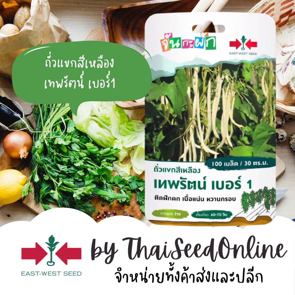 GGEW ถั่วแขกสีเหลืองเทพรัตน์เบอร์1 100เมล็ด ตราศรแดง เมล็ดพันธุ์พระราชทาน จันกะผัก Bush Bean