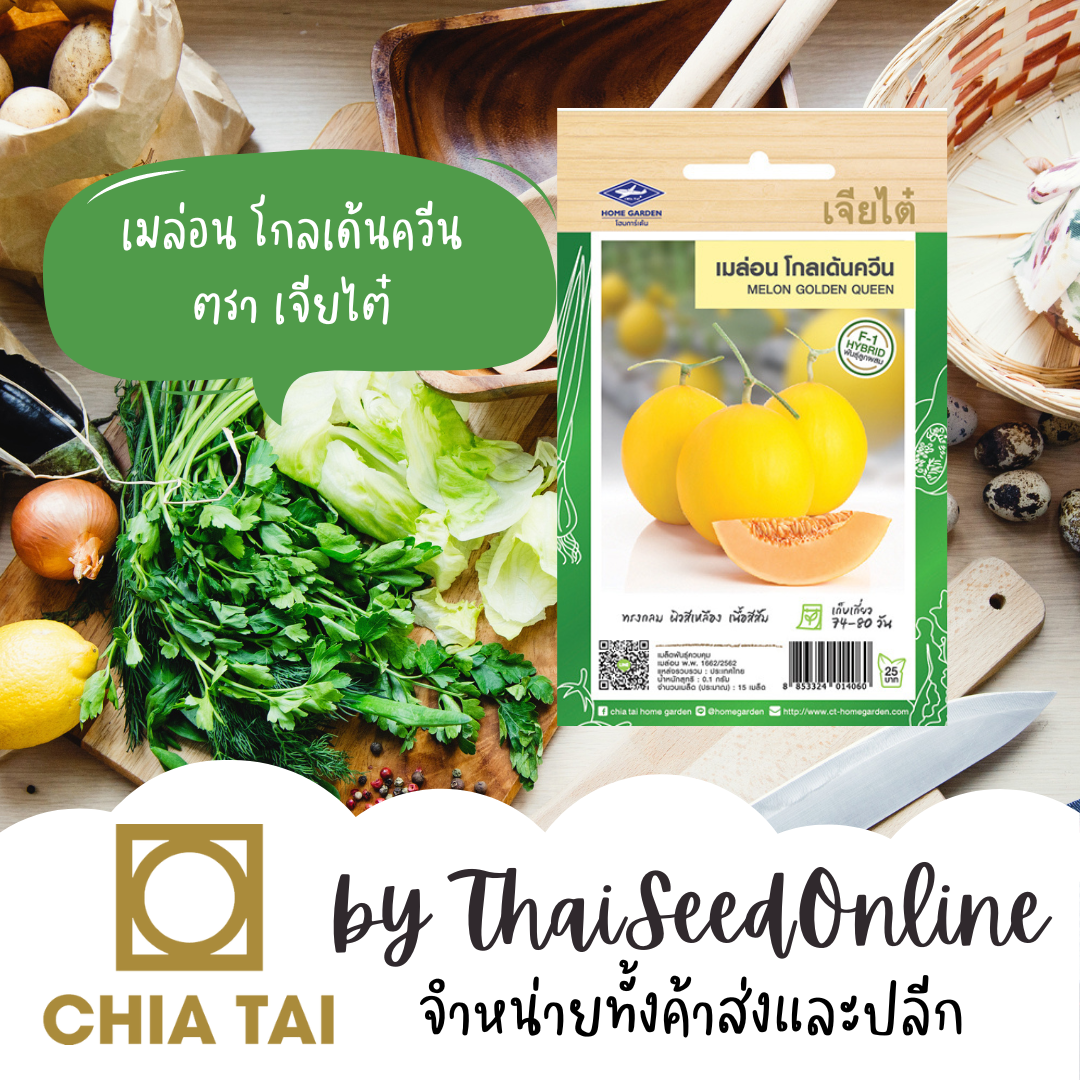 CTF1 เมล็ดพันธุ์ เมล่อน โกลเด้นควีน 5 เมล็ด ตราเจียไต๋ Melon