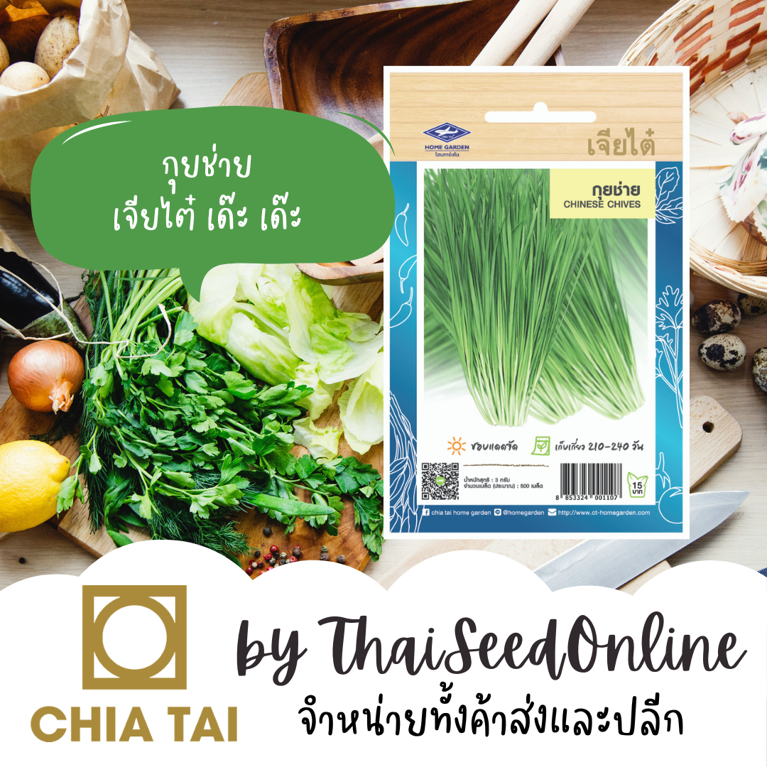CTOP เมล็ดพันธุ์ กุยช่าย ประมาณ250เมล็ด ตราเจียไต๋ Chinese Chives ผักแป้น