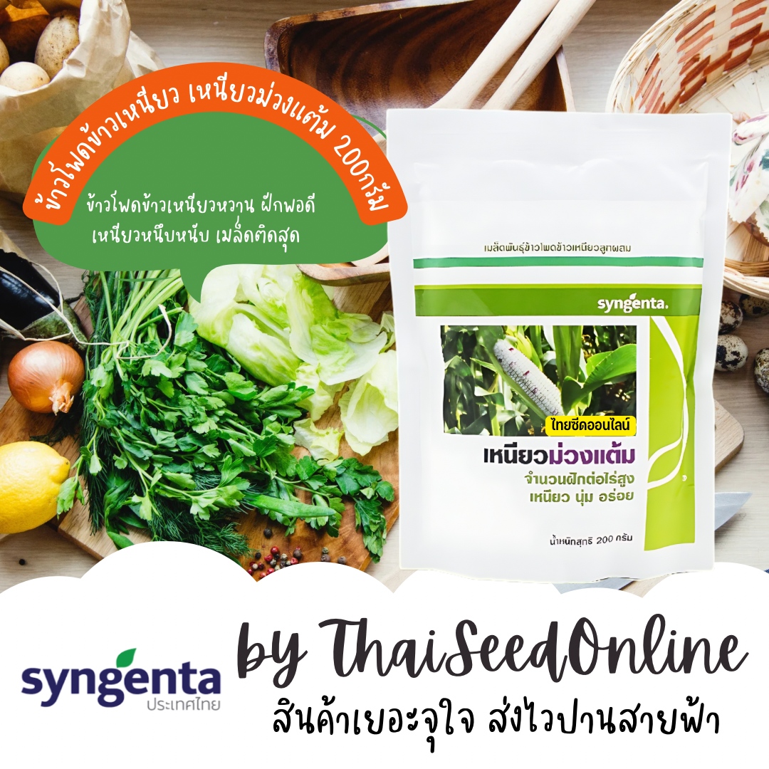 S&G 📌ถุง 200 กรัม📌 เมล็ดพันธุ์ ข้าวโพดข้าวเหนียวแต้มม่วง ซินเจนทา เหนียวม่วงแต้ม