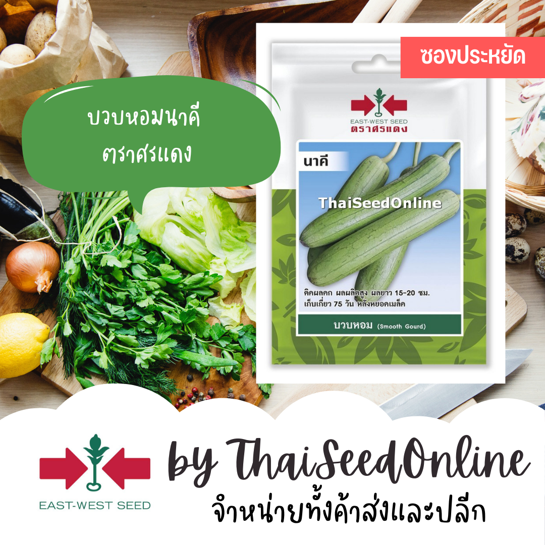 ศรแดง VP3 ซฟ เมล็ดพันธุ์ บวบหอม นาคี 15เมล็ด ตราศรแดง บวบหอมสั้น Sponge Gourd