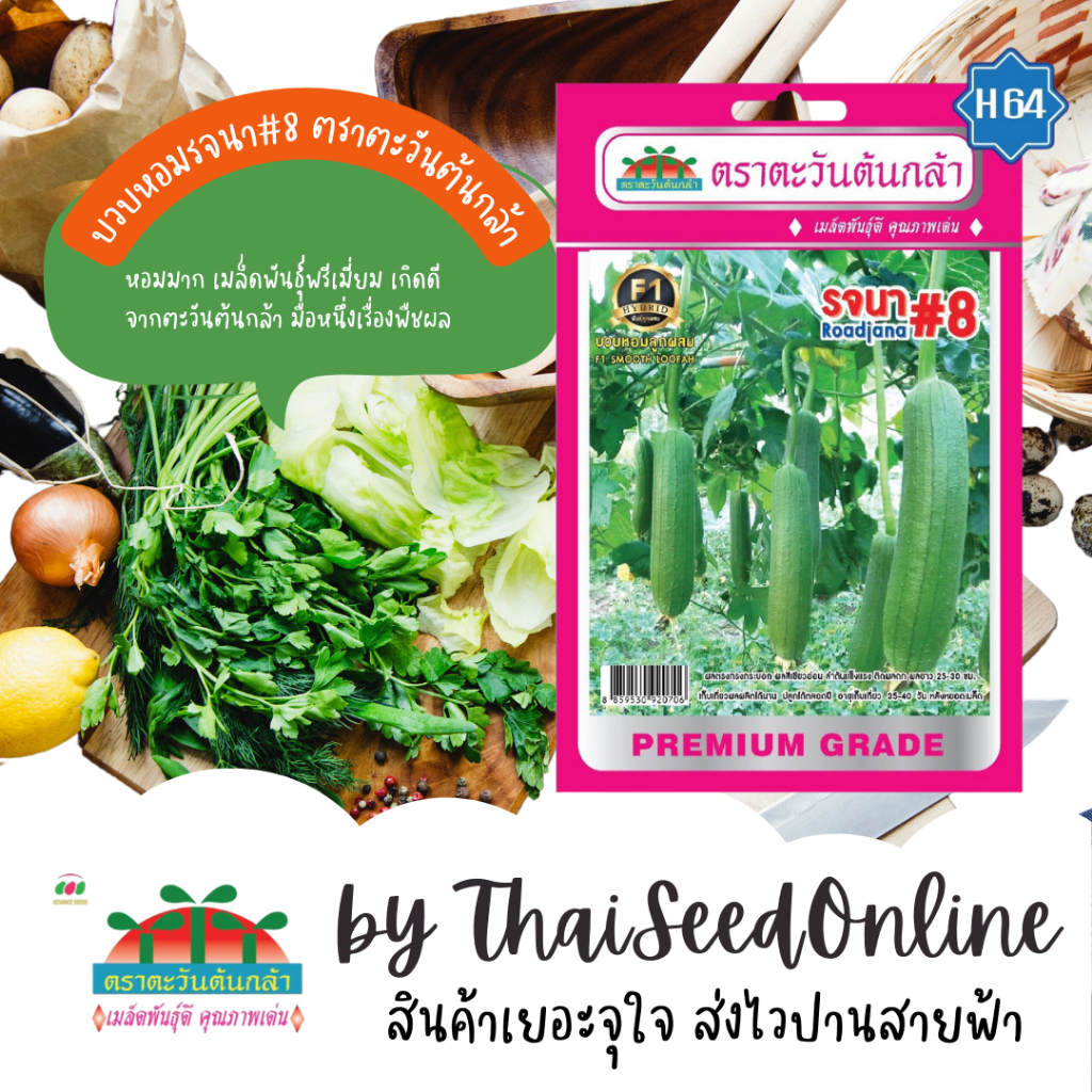 Advance Seeds(ตราตะวันต้นกล้า) ADVF1 ซฟ เมล็ดพันธุ์ บวบหอมรจนา#8 ตราตะวันต้นกล้า H64