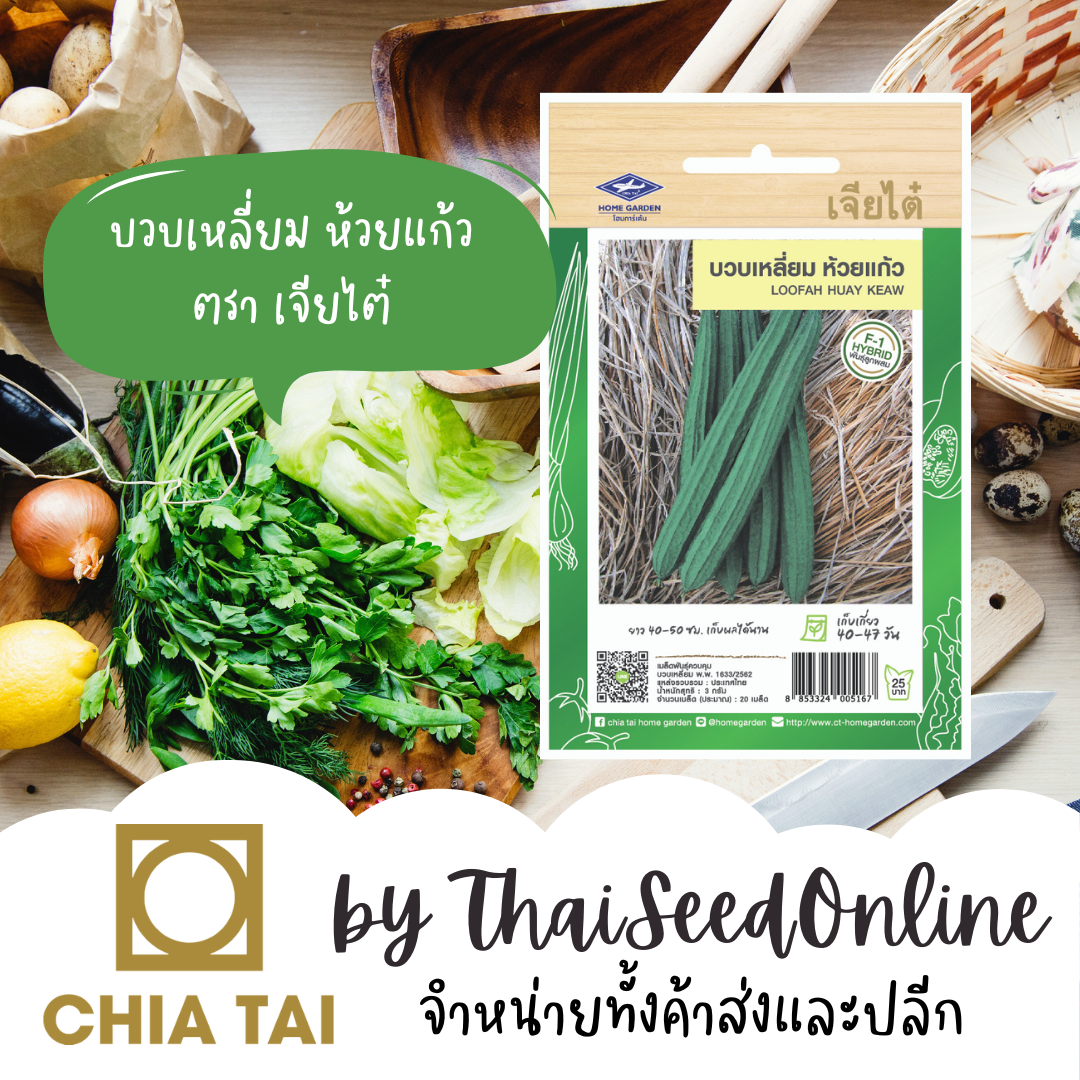 CTF1 เมล็ดพันธุ์ บวบเหลี่ยม ห้วยแก้ว ตราเจียไต๋ Angled Gourd