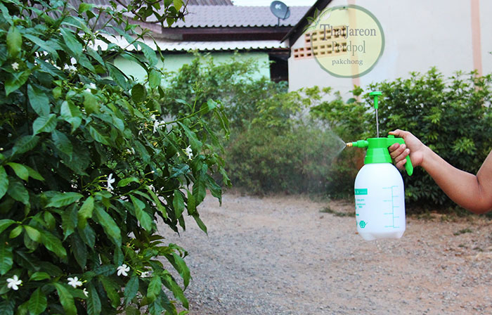 สเปรย์ foggy กระบอกฉีดน้ำแรงดัน Hand Pressure Foggy กระบอกฉีดน้ำยา ฟ็อกกี้ ขนาด 2 ลิตร