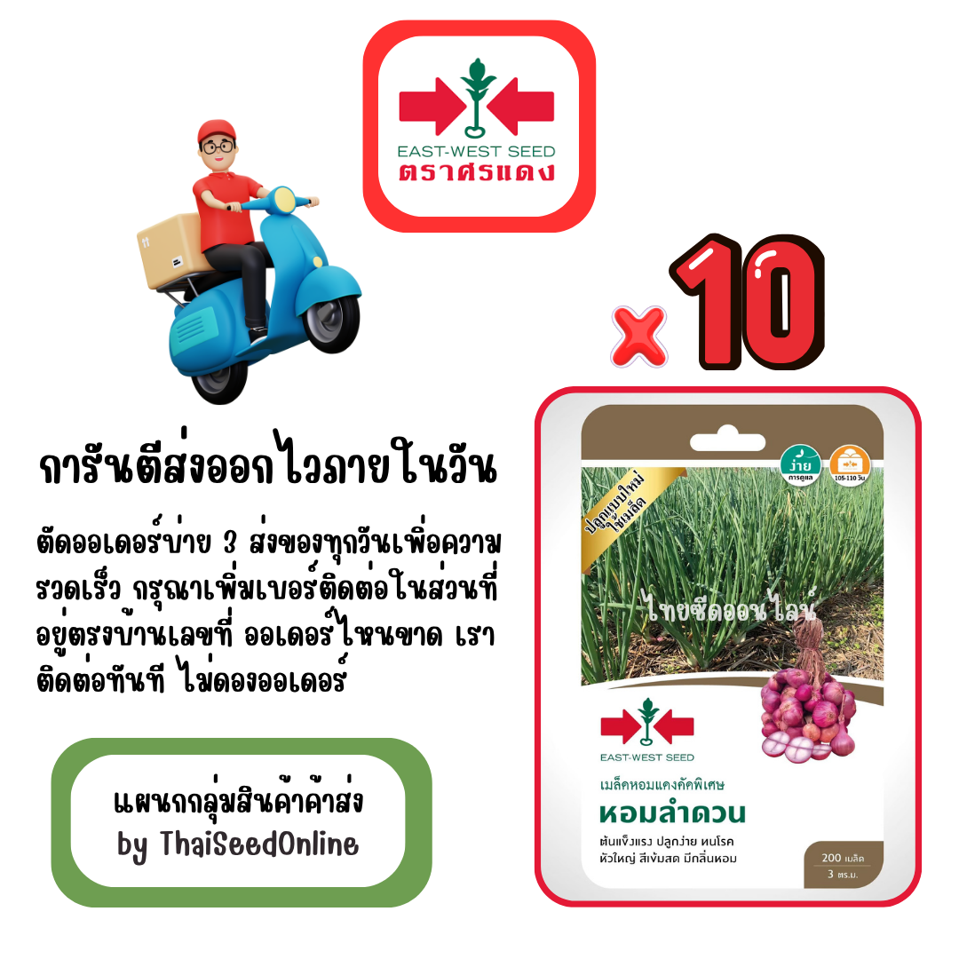 GGx10 เมล็ดผักซองศรแดง หอมลำดวน หอมแดง สินค้ายกแพ็ค