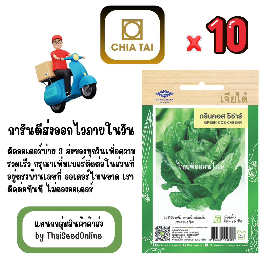 CTF1 x 10 เมล็ดผักซองเจียไต๋ กรีนคอส ซีซ่าร์ สินค้ายกแพ็ค