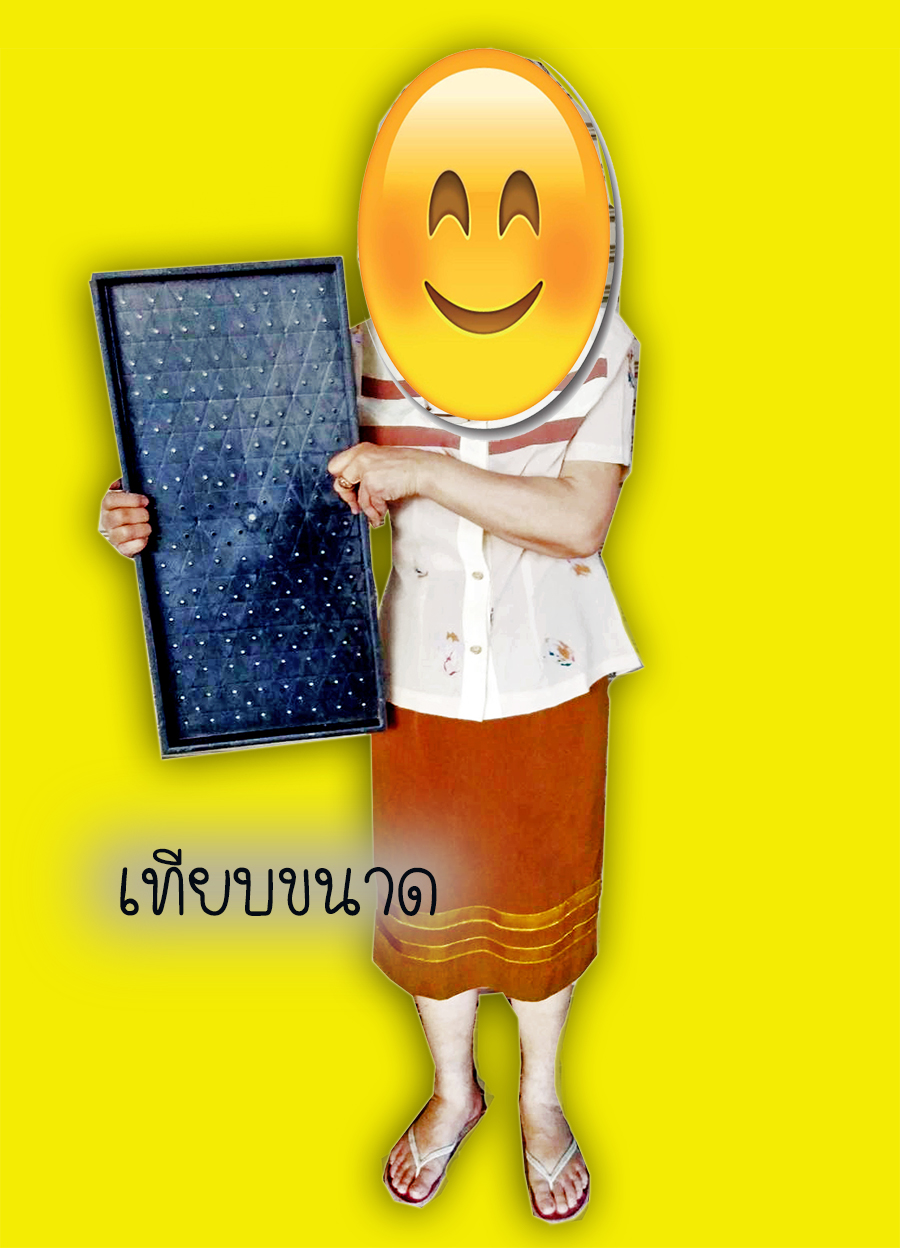 ถาดเพาะต้นอ่อนทานตะวัน ถาดเพาะต้นอ่อน ถาดเพาะถั่วงอก