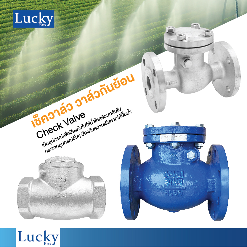 Check Valve เช็ควาล์ว ทองเหลือง แบบบานสวิงแนวนอน ขนาด 1 นิ้ว
