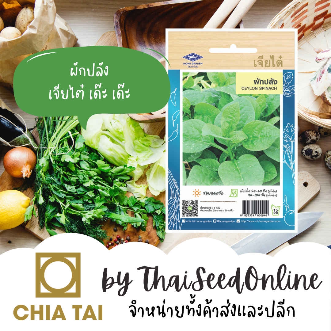 CTOP เมล็ดพันธุ์ ผักปลัง ตราเจียไต๋ Ceylon Spinach