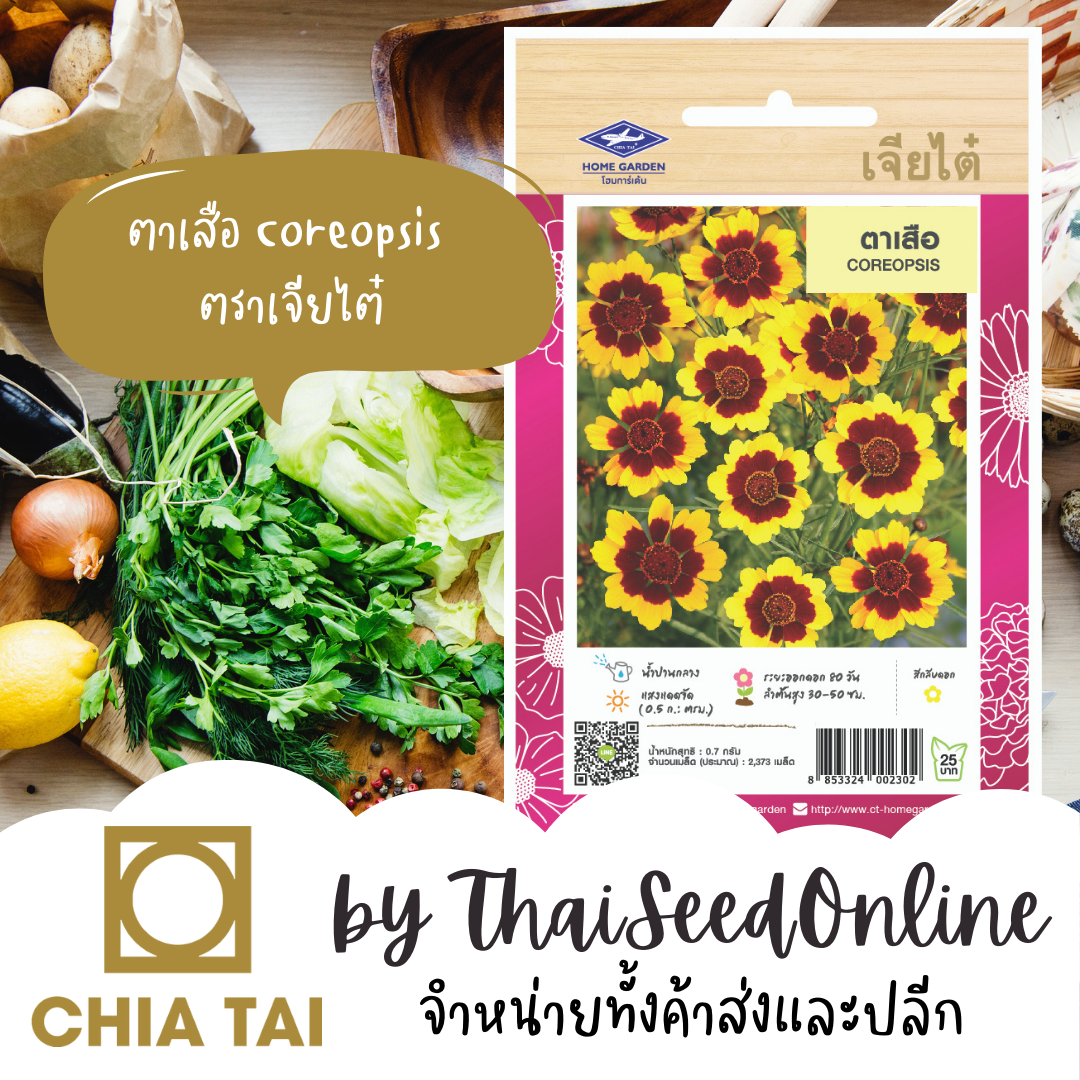 CTFW เมล็ดพันธุ์ดอกไม้ ตาเสือ ตราเจียไต๋ เมล็ดดอกไม้ เมล็ดพันธุ์ดอกไม้ Coreopsis
