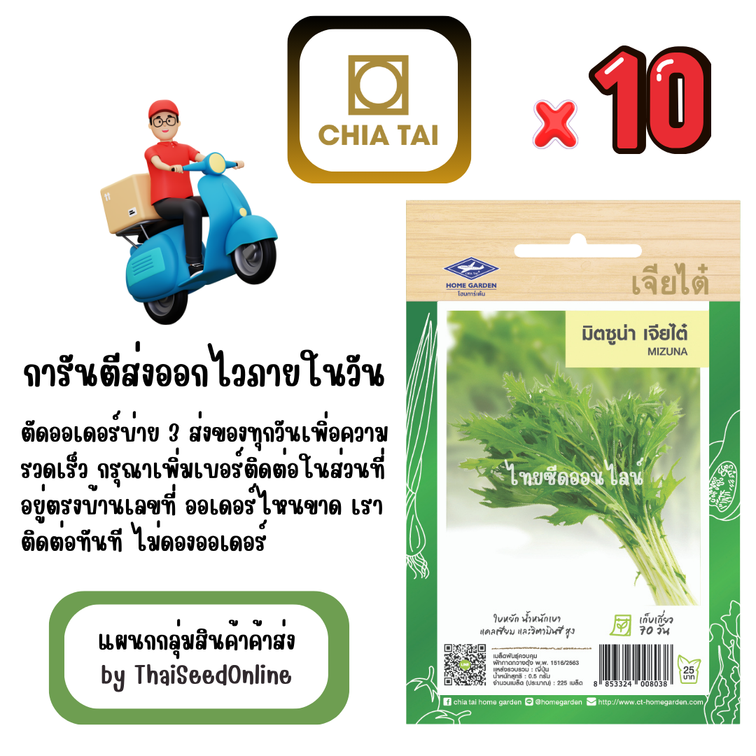 CTF1 x 10 เมล็ดผักซองเจียไต๋ มิตซูน่า สินค้ายกแพ็ค