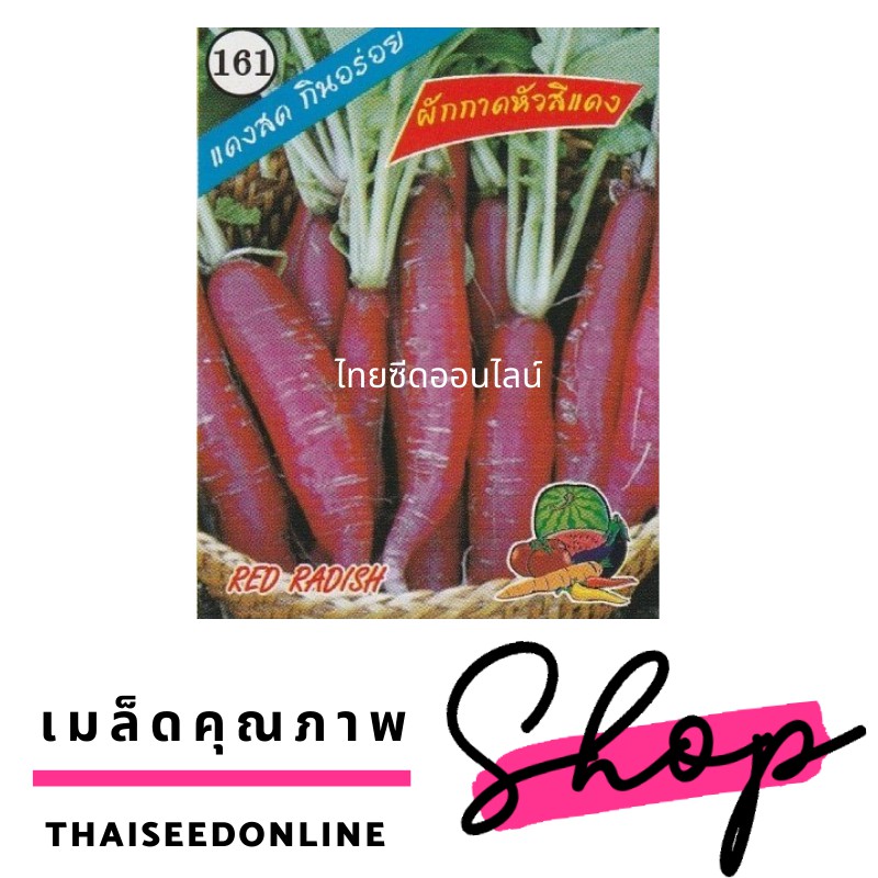 3A เมล็ดพันธุ์ หัวไชเท้า สีแดง ไชเท้าแดง ผักกาดหัวสีแดง ตราตองสาม (333)เครือสามเอ (AAA)