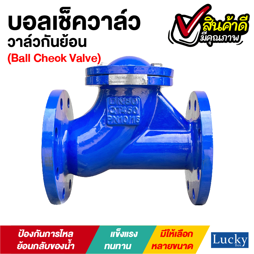 Ball Check Valve บอลเช็ควาล์ว มีหน้าแปลน ขนาด 3 นิ้ว