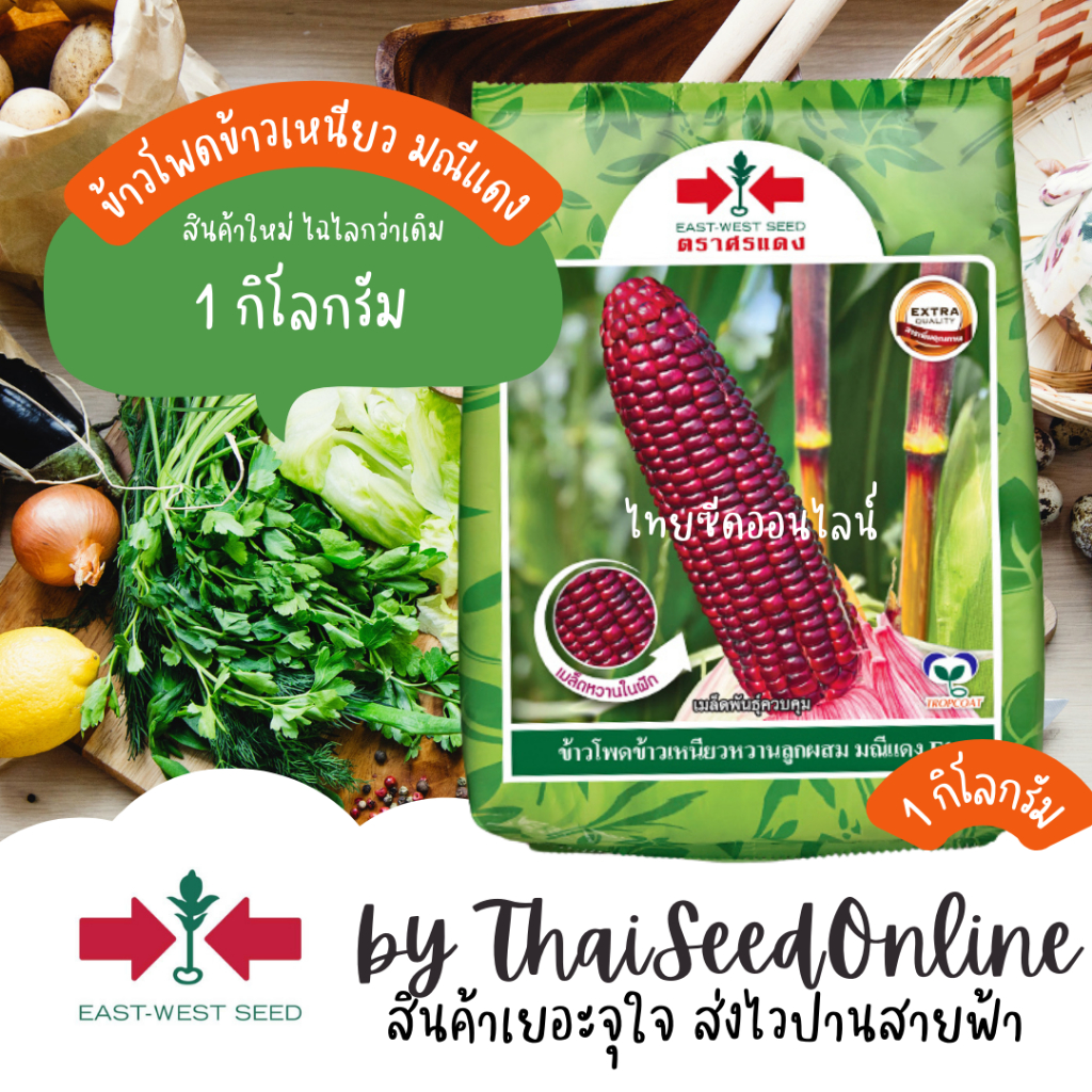 Sorndang(ศรแดง) EWCOM ถุง1กก ใหม่ เมล็ดพันธุ์ข้าวโพดข้าวเหนียวหวานสีม่วงล้วน มณีแดง 1 กิโลกรัม ตราศรแดง