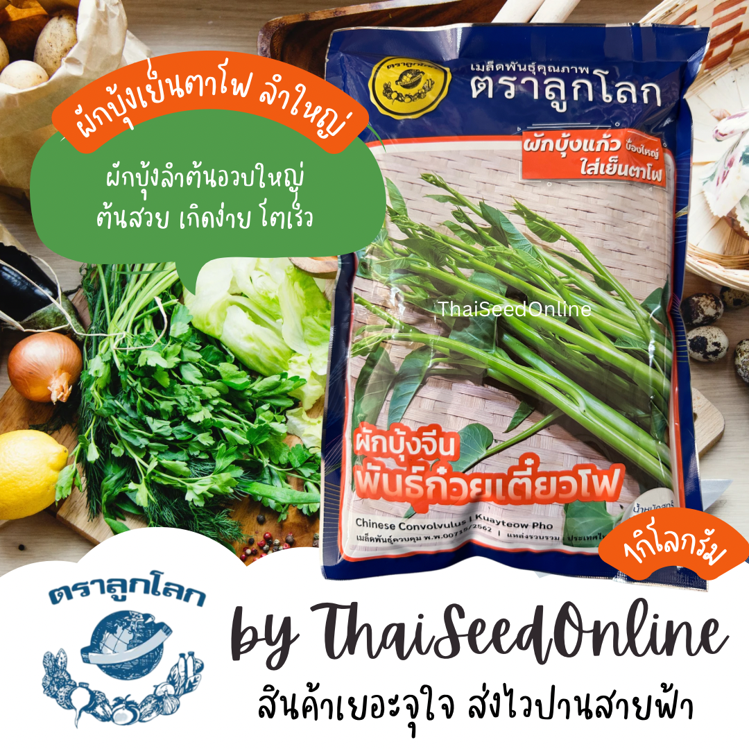 นำไทยเชียง เมล็ดพันธุ์ ถุง 1กก. ผักบุ้งแก้ว ผักบุ้งเย็นตาโฟ ตราลูกโลก