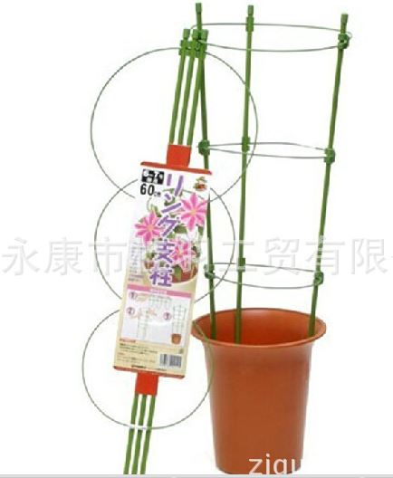 ค้างไม้เลื้อย ไม้กระถาง ลวดล้อมไม้