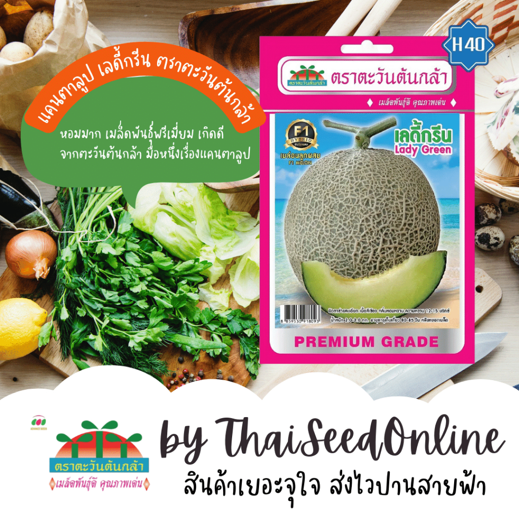 Advance Seeds(ตราตะวันต้นกล้า) ADVF1 ซฟ เมล็ดพันธุ์ลูกผสม เมล่อน เลดี้กรีน ตราตะวันต้นกล้า H40 Lady Green Melon