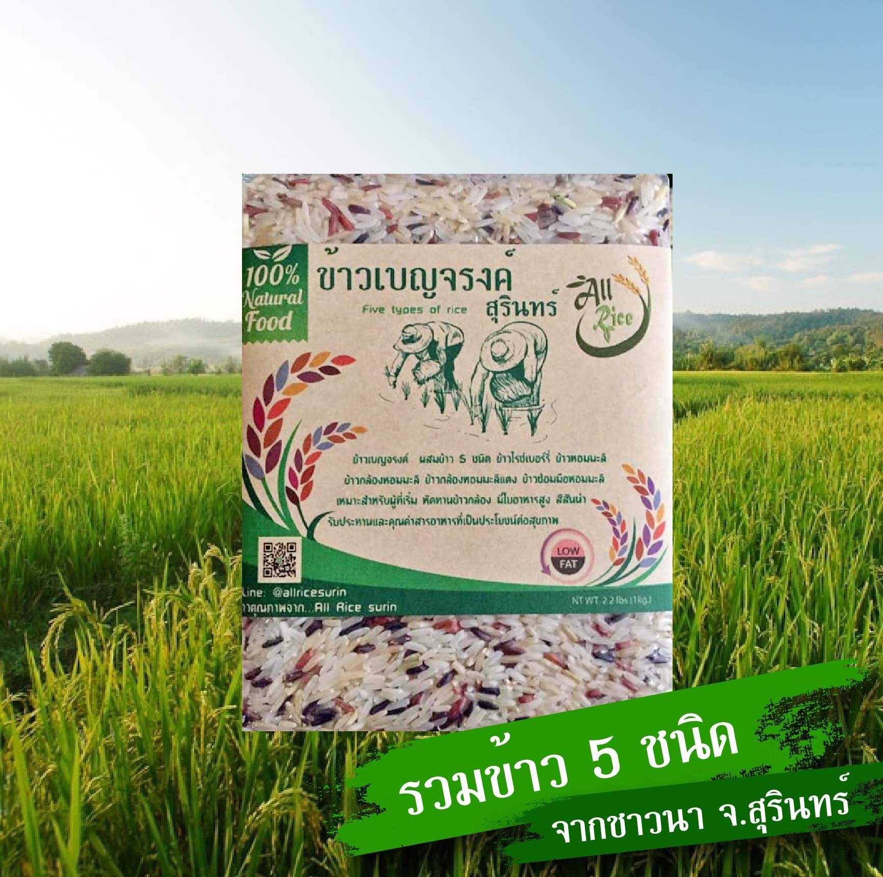 ข้าวเบญจรงค์ (High Quality) 1 กิโลกรัม