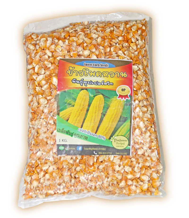 เมล็ดพันธุ์ข้าวโพดหวาน Sweet Corn seed พันธุ์ซุปเปอร์สวีท พันธุ์ OP พื้นเมือง