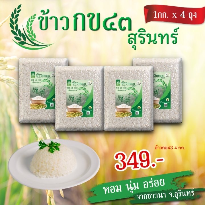 ข้าวกข 43 ข้างขาวน้ำตาต่ำ ขนาด1 กก 4แพ๊ค ส่งฟรี
