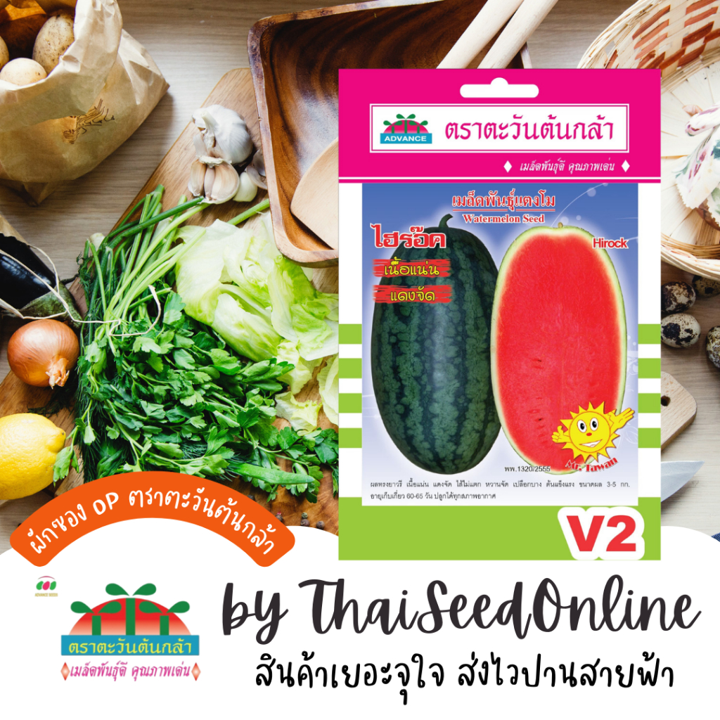 Advance Seeds(ตราตะวันต้นกล้า) ADVOP ซฟ เมล็ดพันธุ์ แตงโมไฮร๊อค แตงโมทรงตอปิโด ประมาณ 25 เมล็ด ตราตะวันต้นกล้า V2 ไฮร็อค