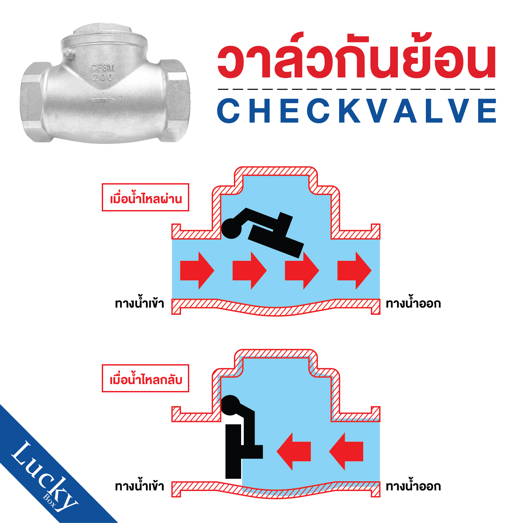 เช็ควาล์วสแตนเลส 304 เแบบเกลียวบานพับแนวนอน ขนาด 4 นิ้ว DN100