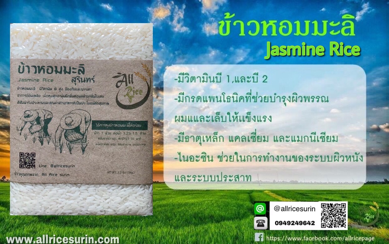 ข้าวหอมมะลิสุรินทร์100% 1 กิโลกรัม