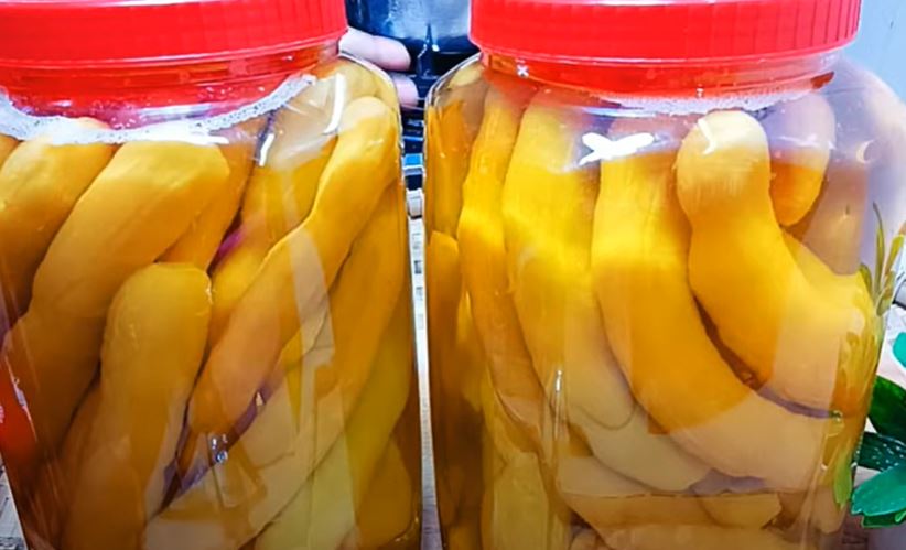 หัวเชื้อดองมะม่วง หัวเชื้อดองผลไม้ ดองกะท้อน ดองมะขาม ตรานกแก้ว