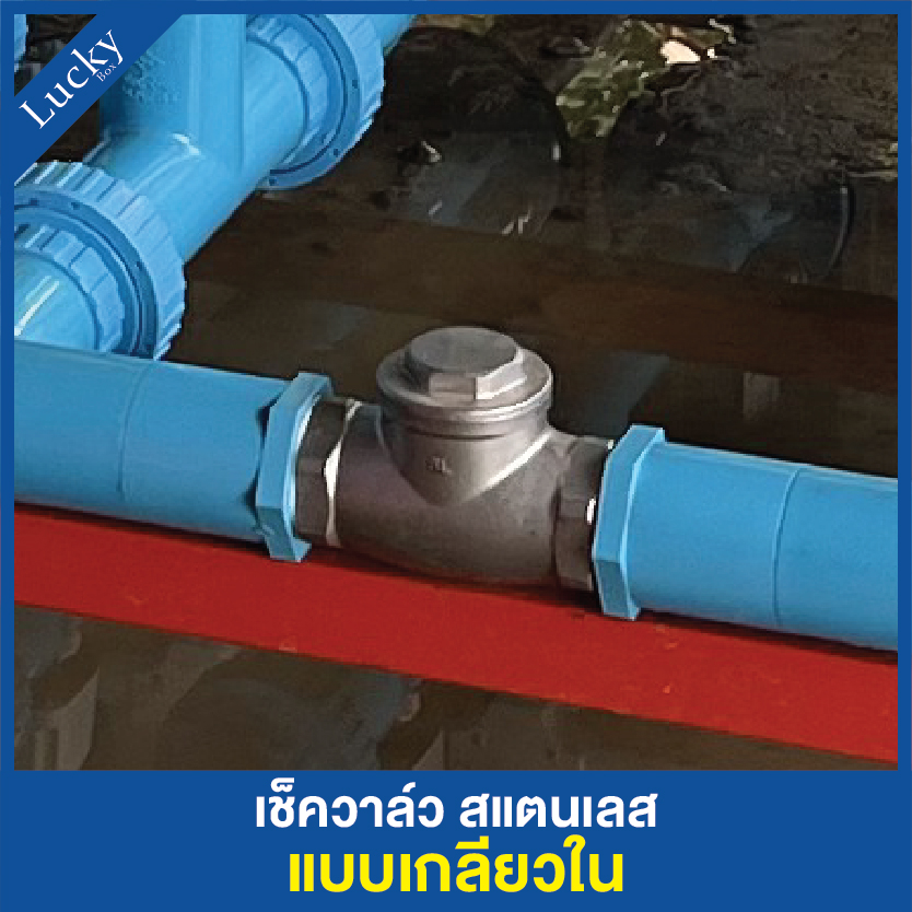 เช็ควาล์วสแตนเลส 304 เแบบเกลียวบานพับแนวนอน ขนาด 3 นิ้ว DN80