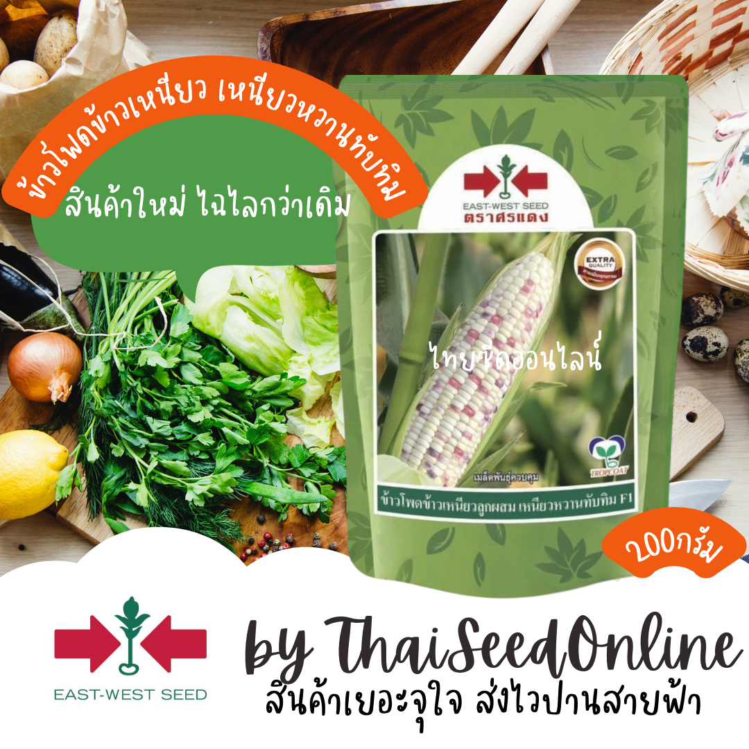 EWCOM 200กรัม ข้าวโพดลูกผสมข้าวโพดข้าวเหนียว เหนียวหวานทับทิม ตราศรแดง Corn