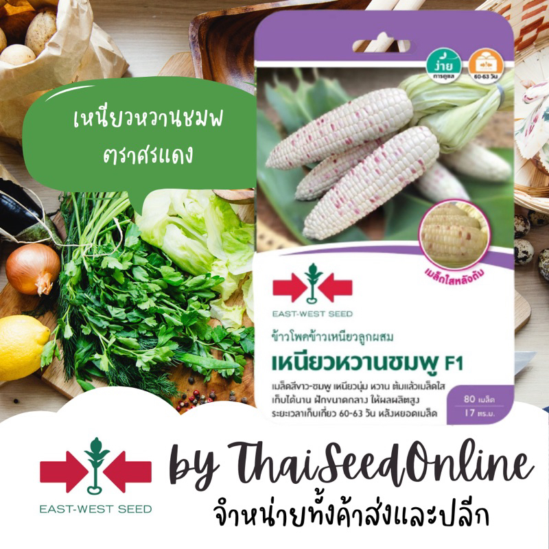 Sorndang(ศรแดง) GGEW เมล็ดพันธุ์ซฟ เมล็ดพันธุ์ ข้าวโพดข้าวเหนียว เหนียวหวานชมพู 80เมล็ด ตราศรแดง Waxy Corn