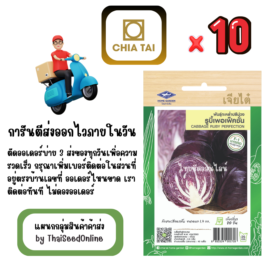 CTF1 x 10 เมล็ดผักซองเจียไต๋ กะหล่ำปลีสีม่วง รูบี้เพอร์เฟคชั่น สินค้ายกแพ็ค