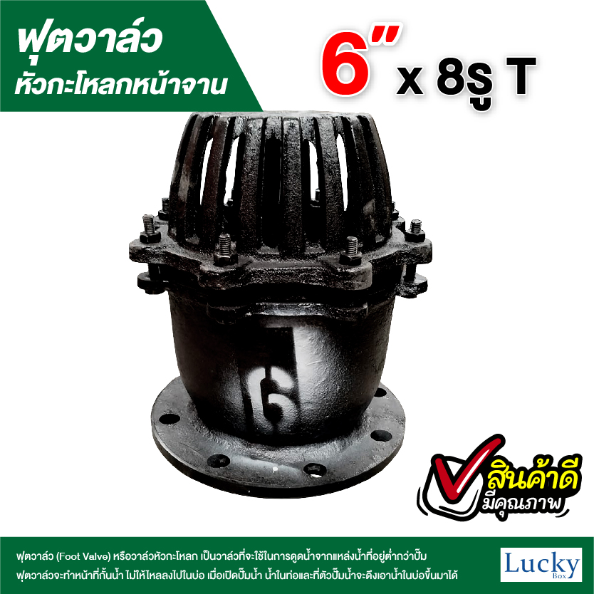 ฟุตวาล์ว (Foot Valve) วาล์วหัวกะโหลก หน้าจาน เหล็กหล่อ ขนาด 6 นิ้ว