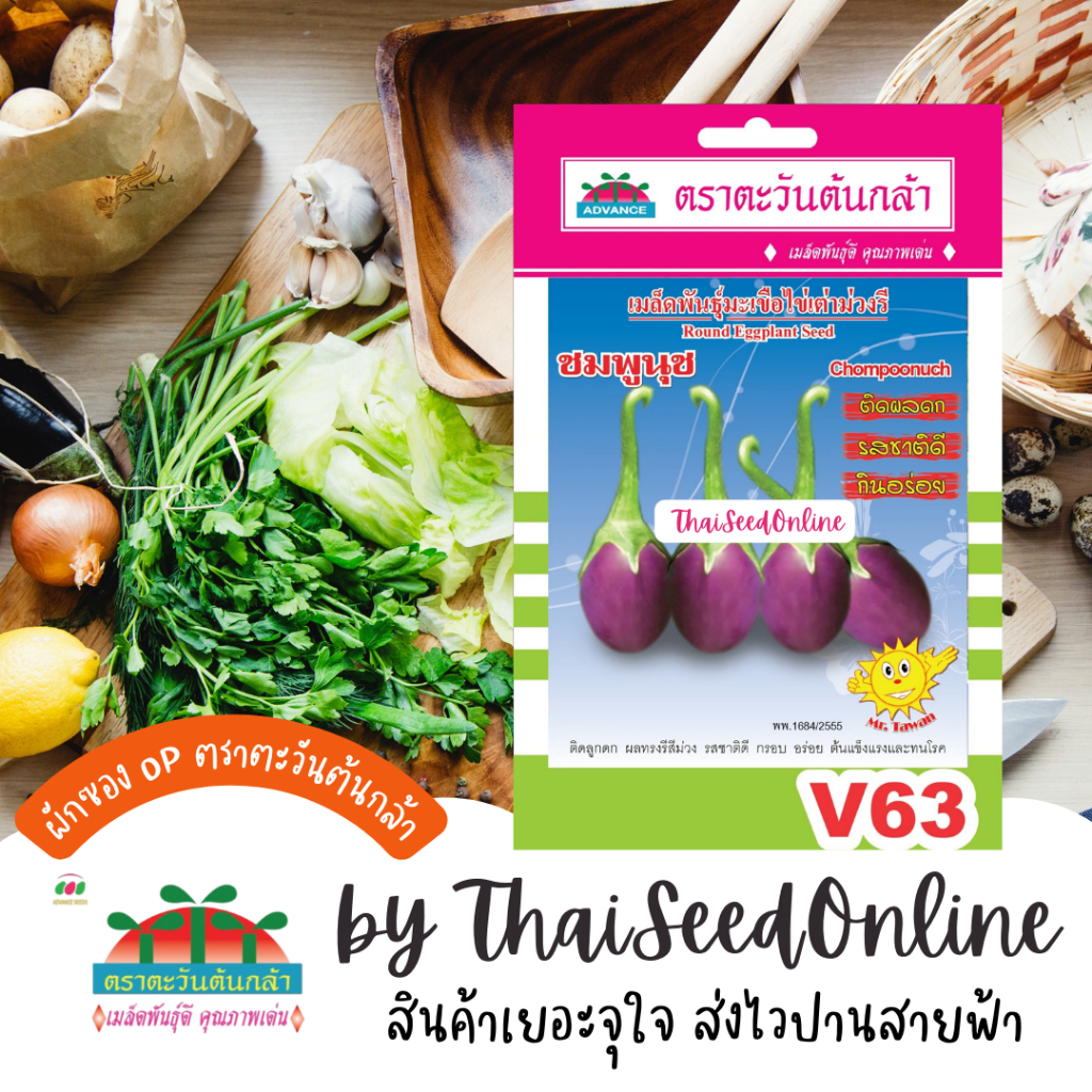 Advance Seeds(ตราตะวันต้นกล้า) ADVOP ซฟ เมล็ดพันธุ์ มะเขือไข่เต่าม่วงรี ชมพูนุช ตราตะวันต้นกล้า V63